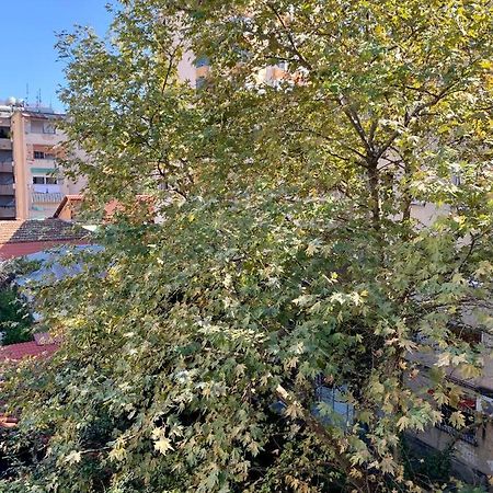 The Nest Albania Διαμέρισμα Τίρανα Εξωτερικό φωτογραφία